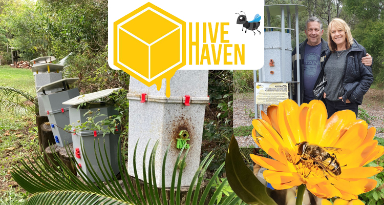 Hive Haven