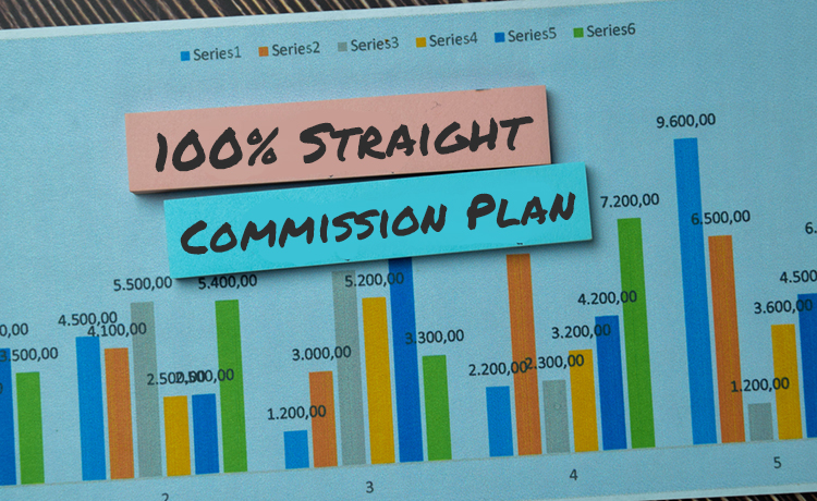 100_-Straight-Commission-Plan