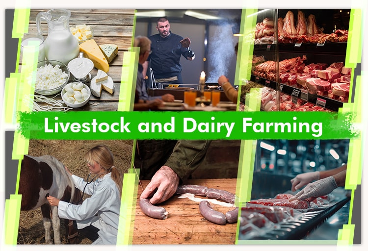 Livestock and Dairy Farming