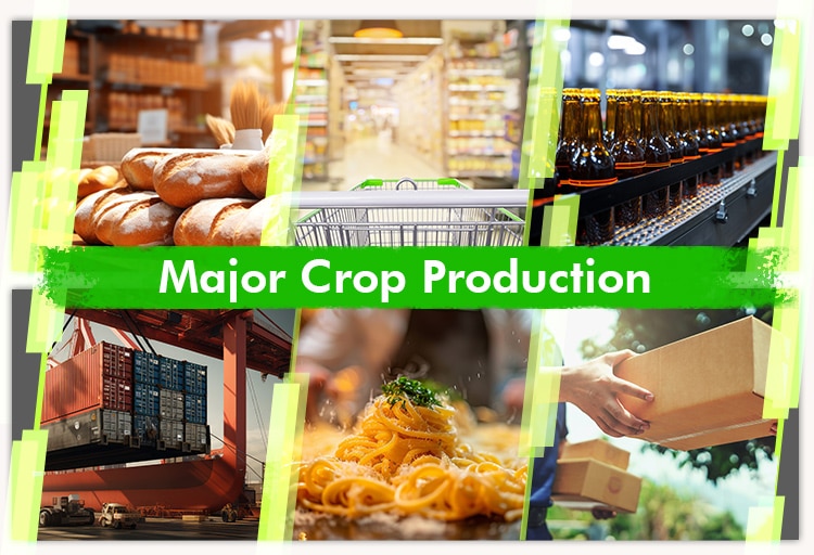 Major Crop Production